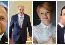 Koalicijski partnerji