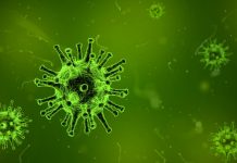 koronavirus