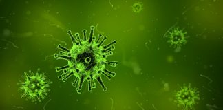 koronavirus