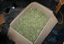 2,5 kg konoplje
