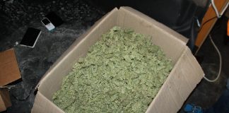 2,5 kg konoplje