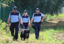 Policijski nadzor