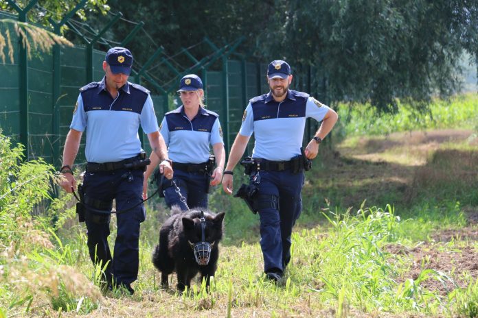 Policijski nadzor
