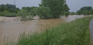 poplave